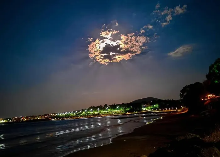 Dima Popova דירה *